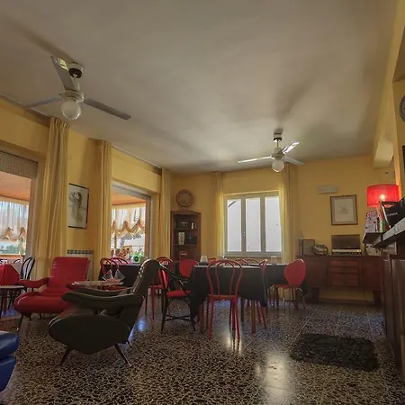 Il 9 카마이오레