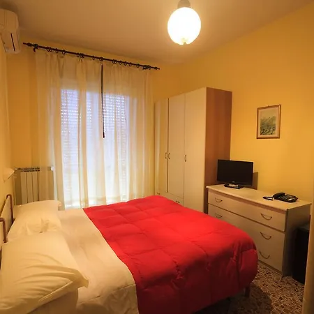 Il 9 Camaiore